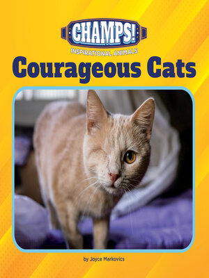 cover image of Courageous Cats
